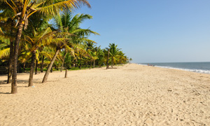 Maya Residency
